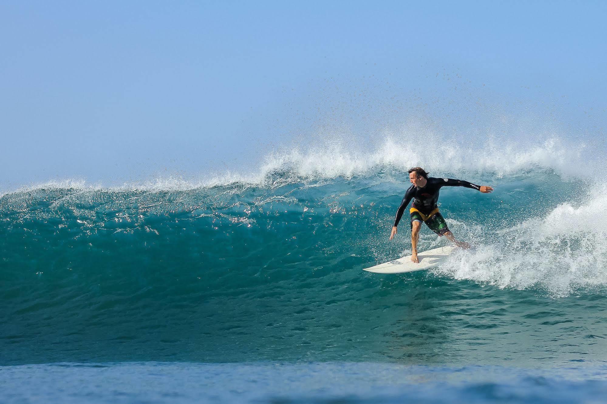 La Negra Surf Hotel Nosara Exteriér fotografie